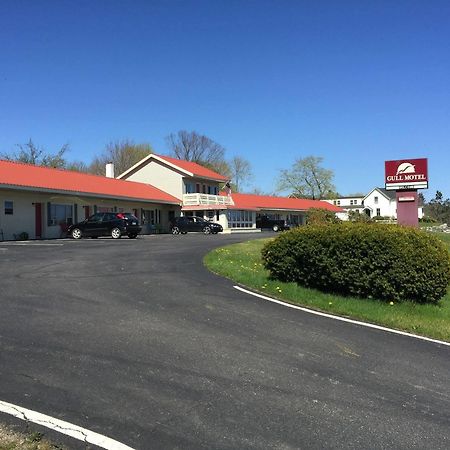 The Gull Motel, 贝尔法斯特 外观 照片