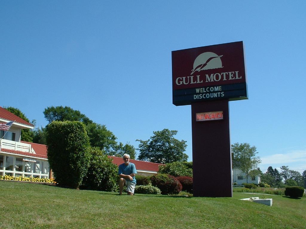 The Gull Motel, 贝尔法斯特 外观 照片