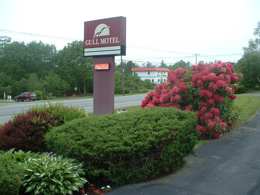 The Gull Motel, 贝尔法斯特 外观 照片